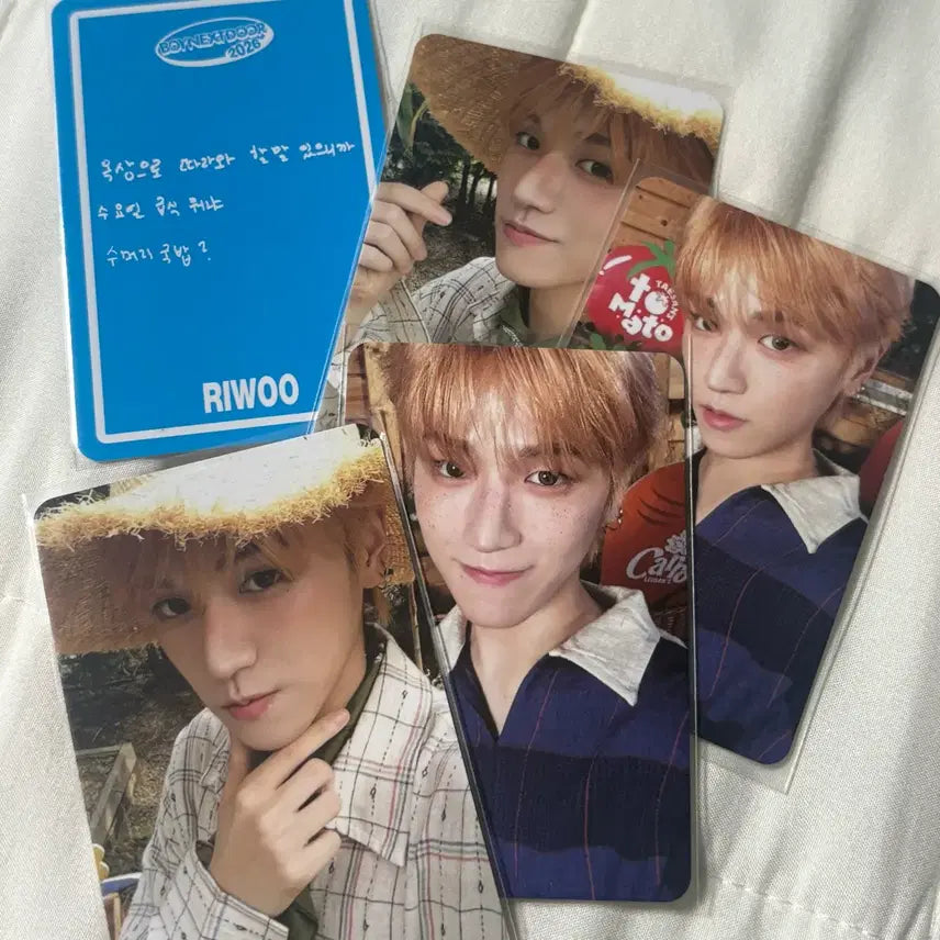 보넥도 시그 리우 포카 양도