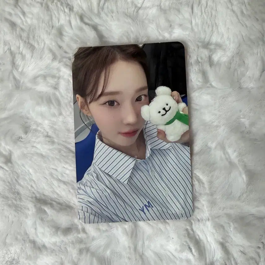 드라마 케이팝머치 윈터 양도