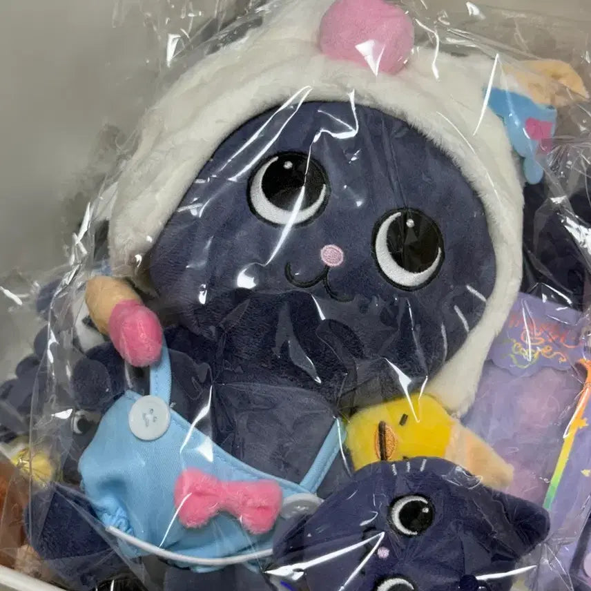 라이즈 원빈 토냥덕 20cm 인형 양도