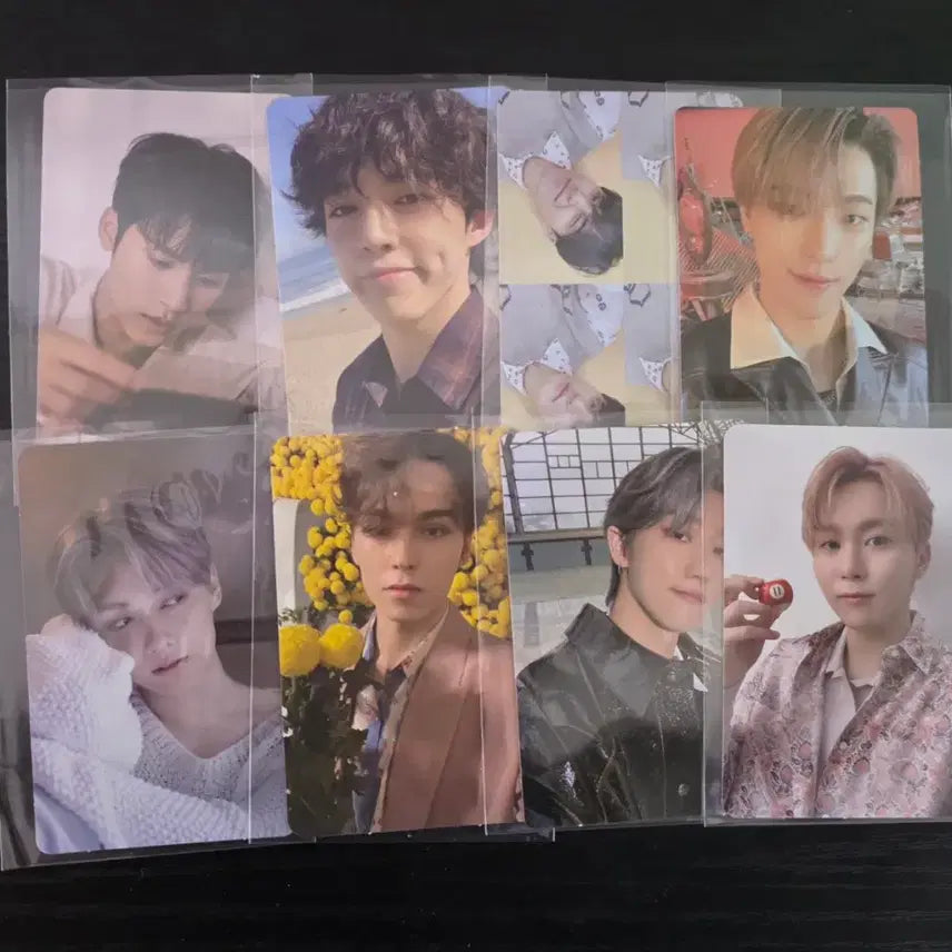 세븐틴 포카 급처 일괄