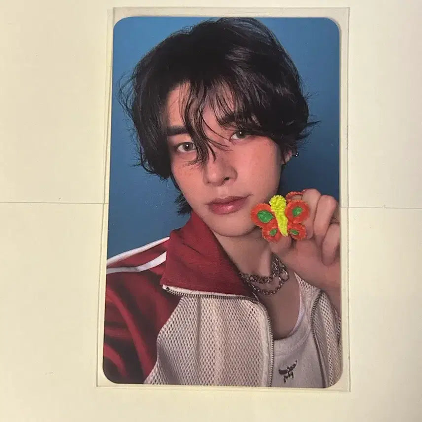 엔하이픈 엑소 제이크 공방포카