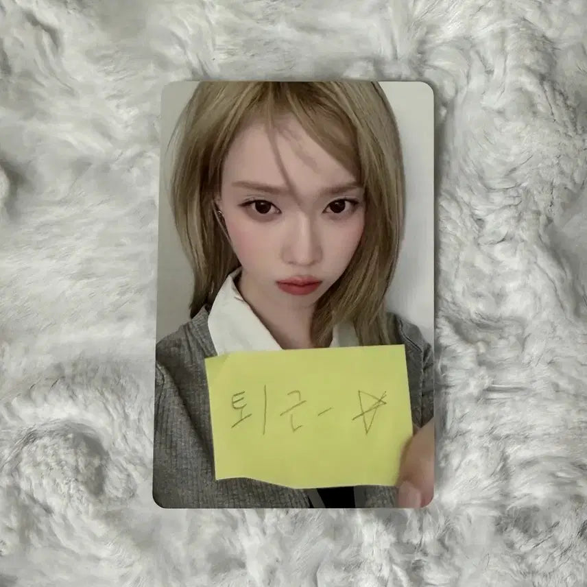 2025 시그 트레카 윈터 양도