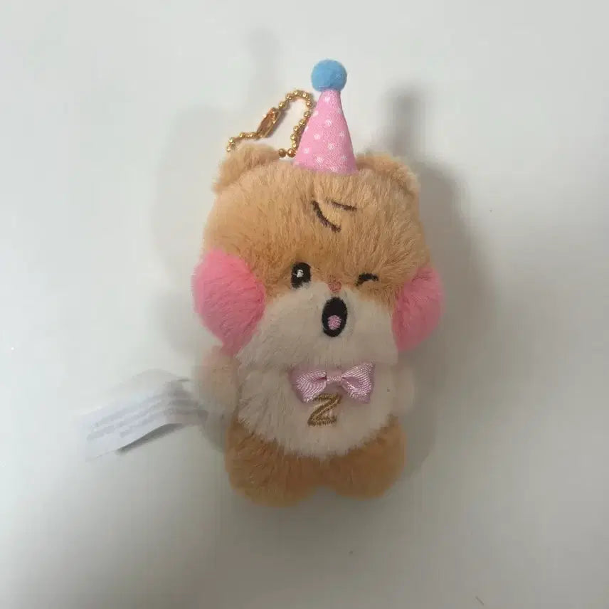 홈파티 비니니 제로니 제로베이스원 성한빈