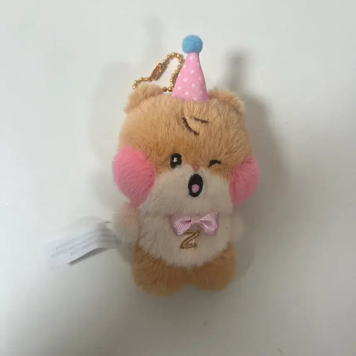 홈파티 비니니 제로니 제로베이스원 성한빈