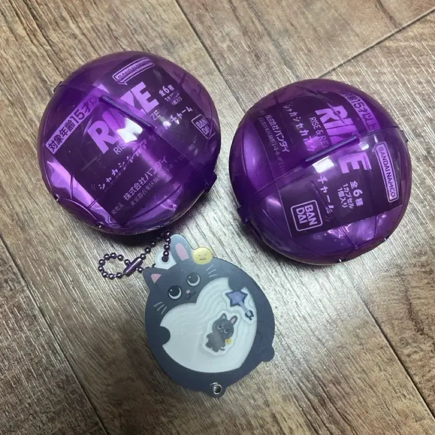 라이즈 샤카샤카 원빈