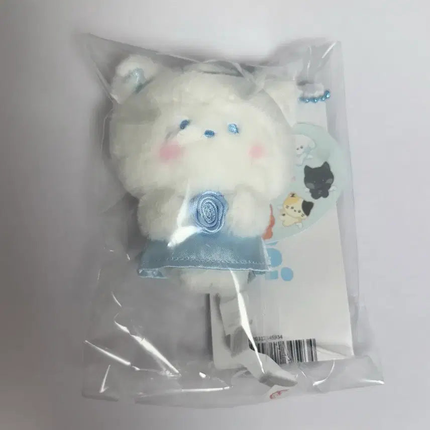 제베원 엔젤 제로니 하니니 미개봉