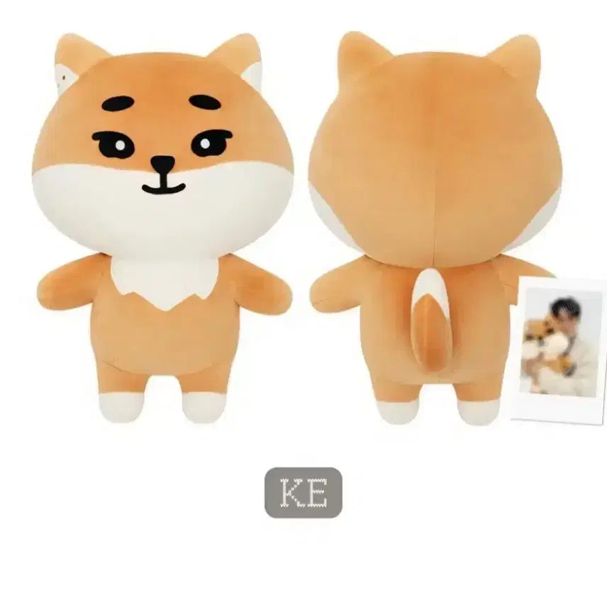 데이식스 자이언트 키 데니멀즈 양도