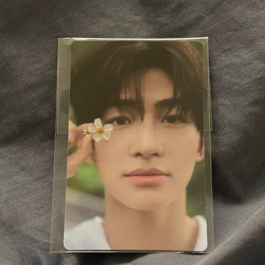 TWS 하지메마시떼 지훈 위버스 특전