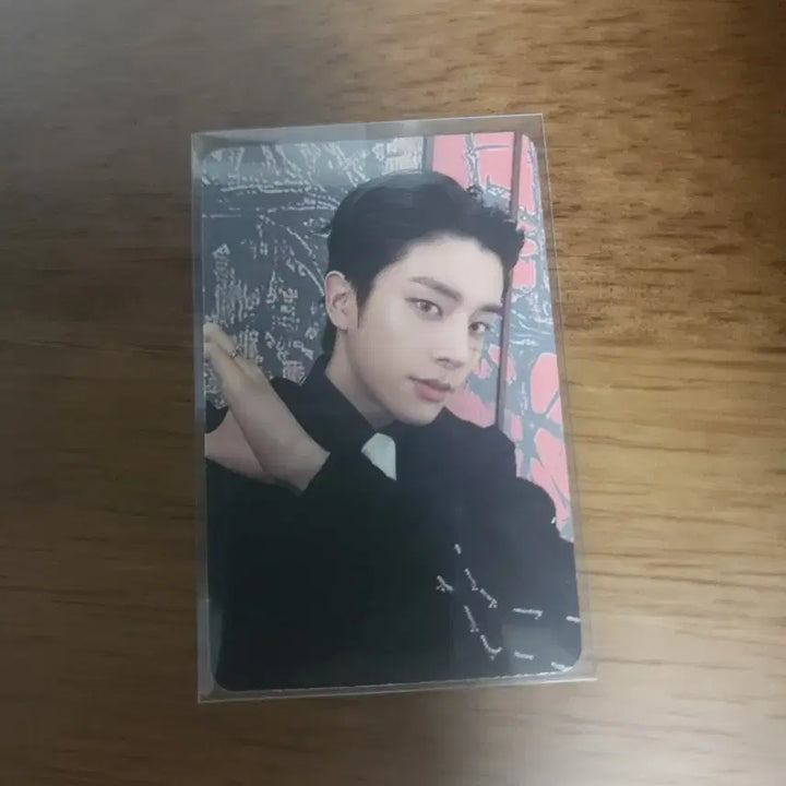 엔하이픈 제이크 pop merch 쇼피 포카 태국 카페