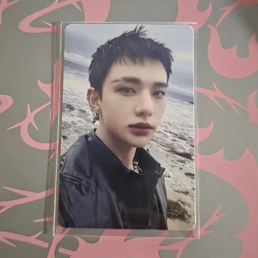 스트레이키즈 Do It 알라딘 특전 포토카드 현진