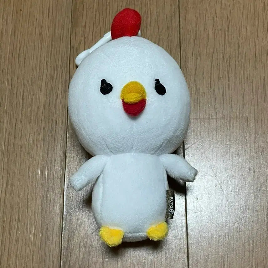 데이식스 데니멀즈 20 쩨