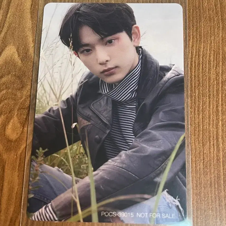 앤팀 하루아 솔로버전 앨범 포토카드 포카 양도합니다!