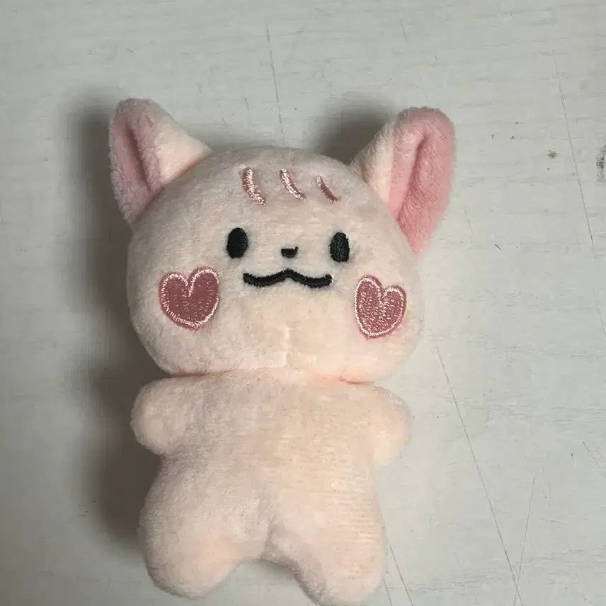 투모로우바이투게더 연준 쭌링이