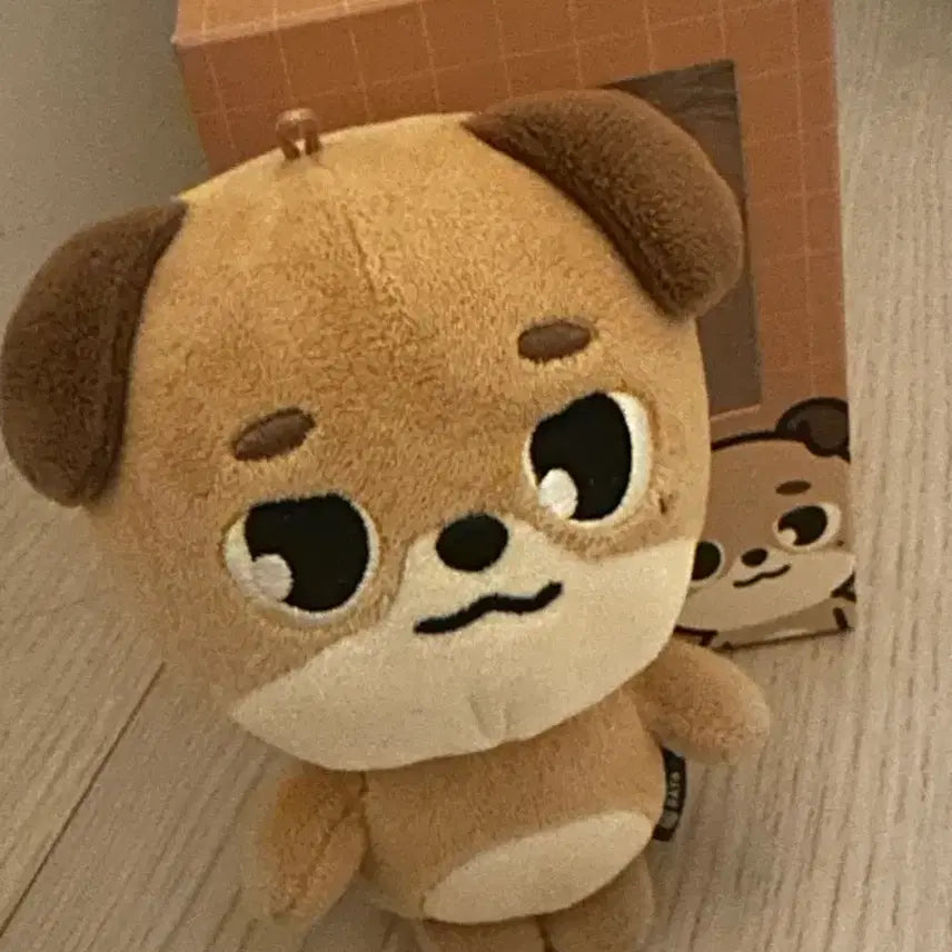 2024 데니멀즈 돈 판매합니다