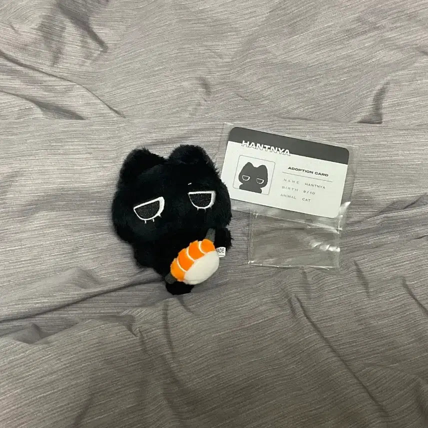 급처))보넥도 태산 인형 한티냐 원가이하 양도