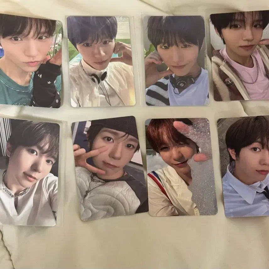 위시 포카 일괄