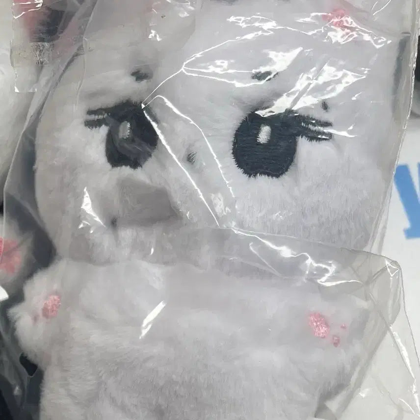 엔하이픈 정원 인형 양가든