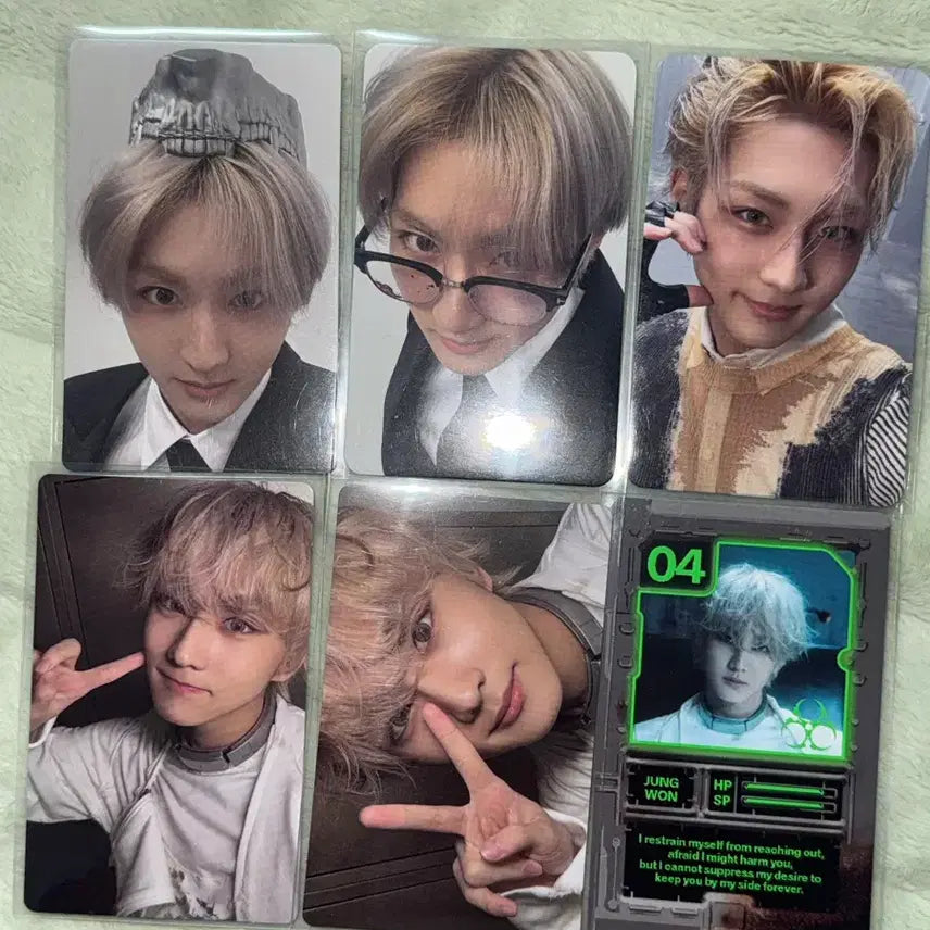 엔하이픈 정원 디자이어 포카 일괄