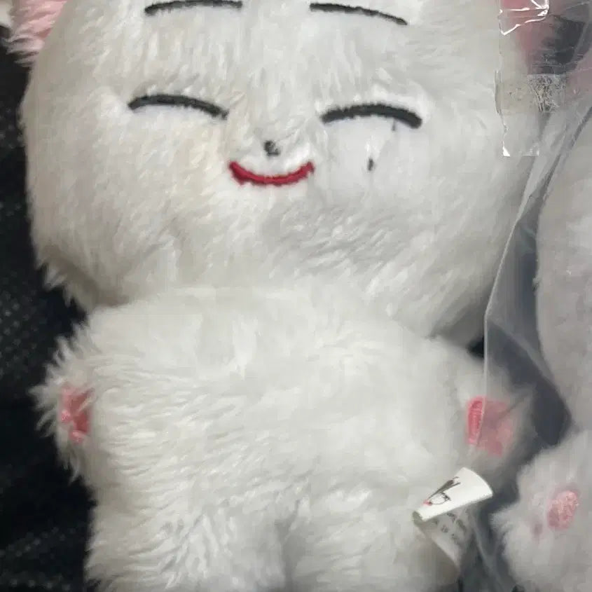 엔하이픈 선우 인형 한국폭