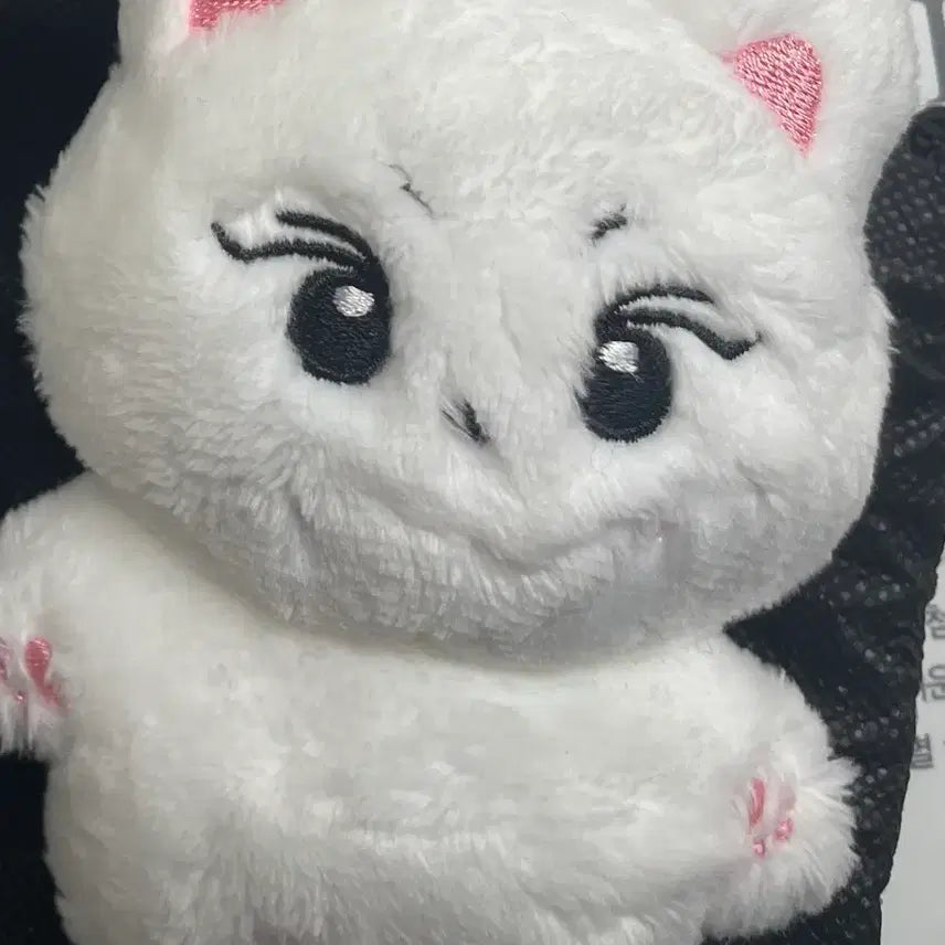 엔하이픈 정원 인형 양꼬미