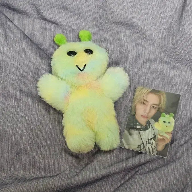 보넥도 이한 쁘넥도 삼한이 인형 양도