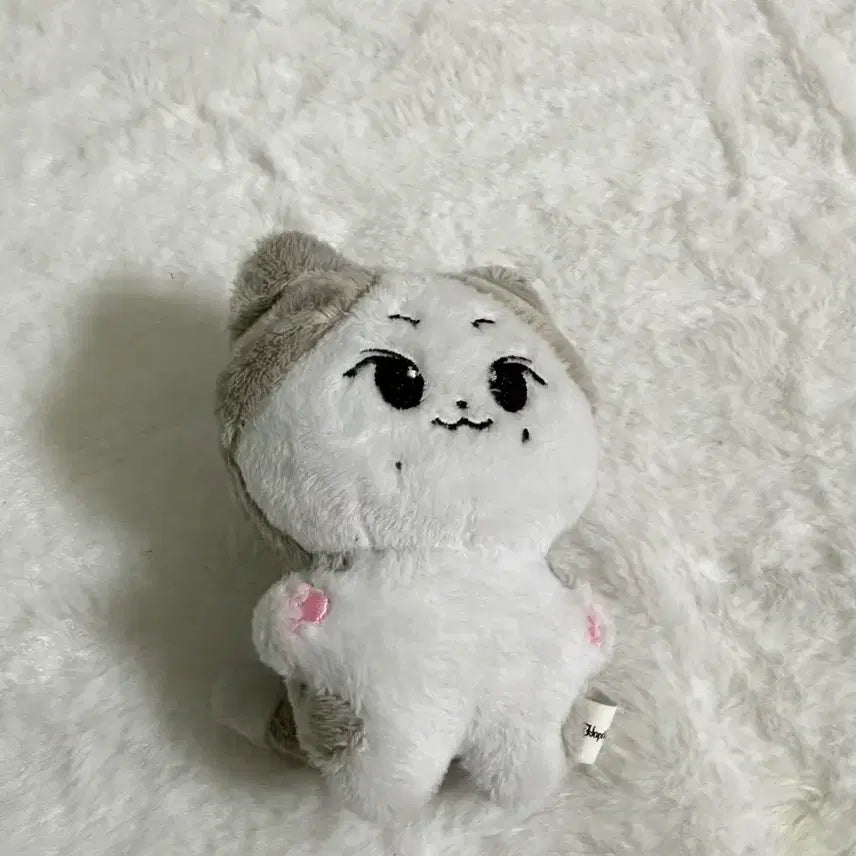 엔하이픈 양정원 냥쭈고 인형 팝니다