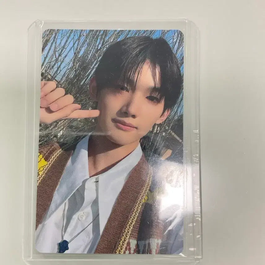 앤팀 죠 사미다레 포카 판매