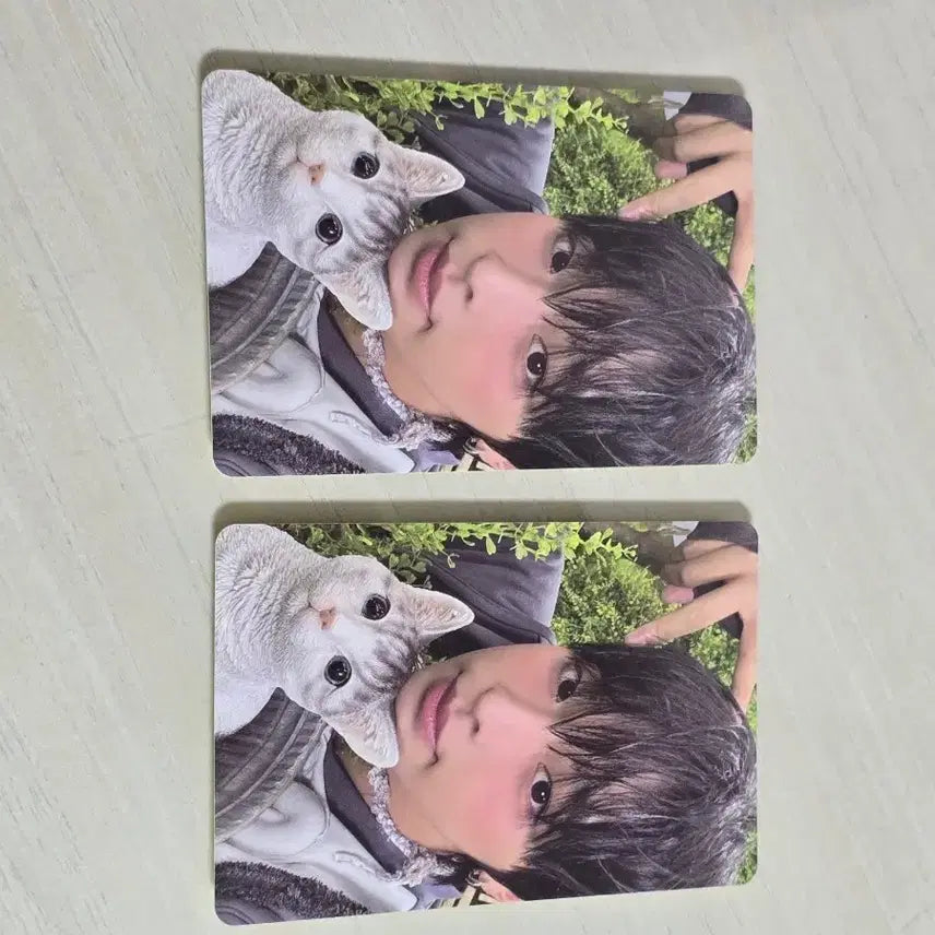 엔시티 위시 리쿠 컬러 쥬얼 포카 양도