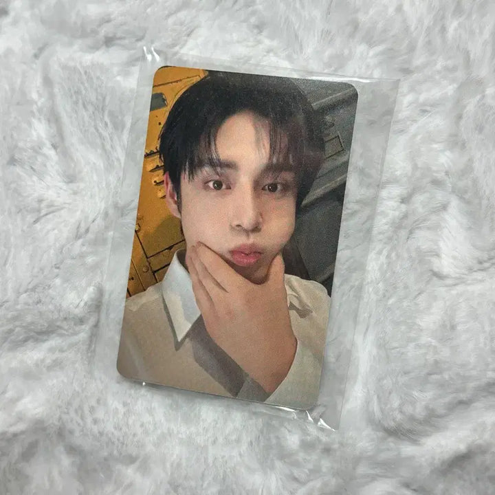 제베원 시그 애플뮤직 미공포 특전 김지웅 포카