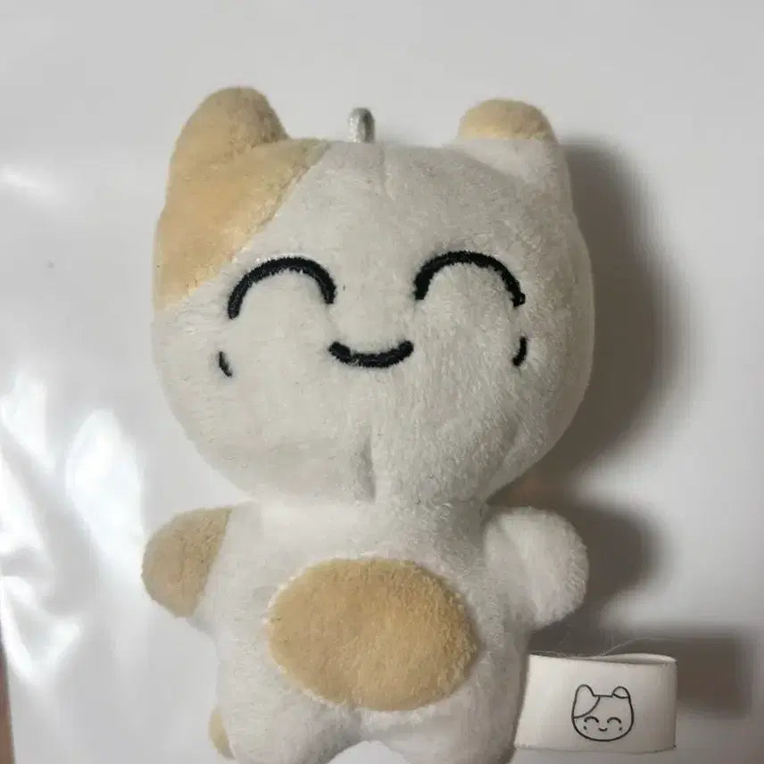 엔시티 재현 인형 솜땀 양도