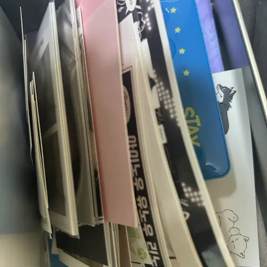 리노 포카 skz lee know pc