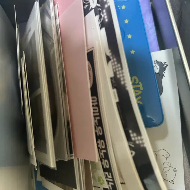 리노 포카 skz lee know pc