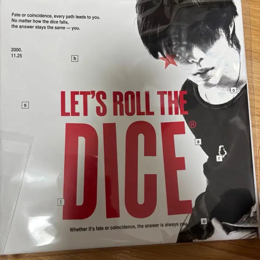 라이즈 쇼타로 바인더