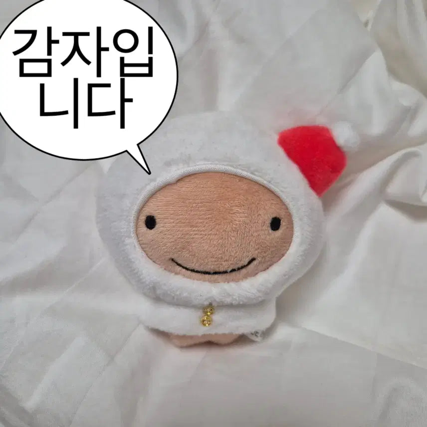 보넥도 운학 운감자 양도