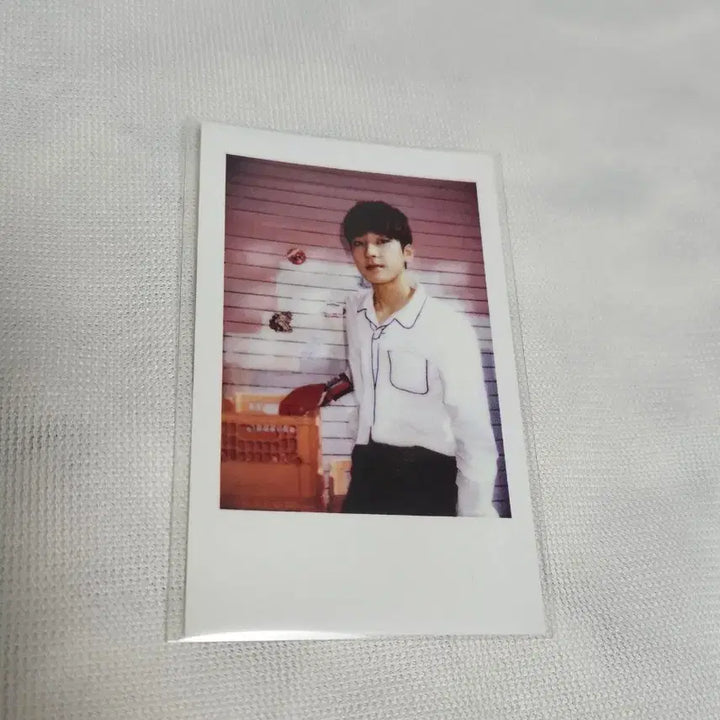 세븐틴 원우 샤다콘 폴라