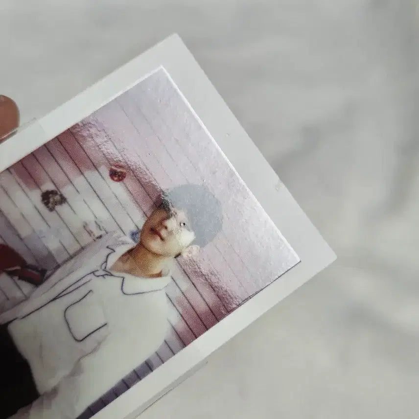 세븐틴 원우 샤다콘 폴라