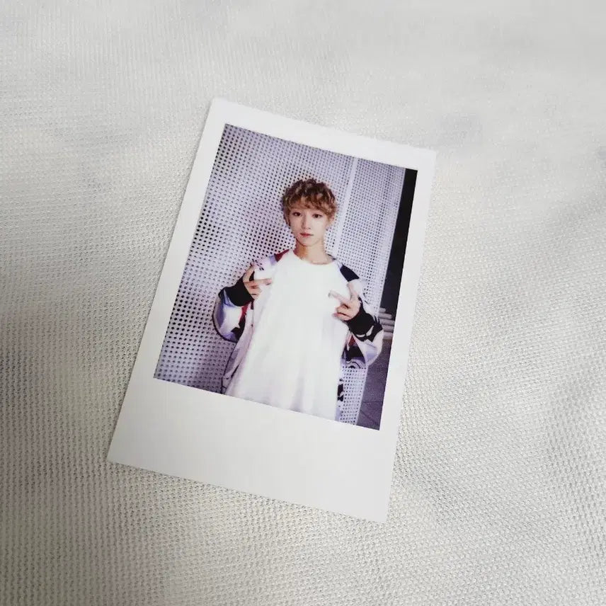 세븐틴 디에잇 샤다콘 폴라