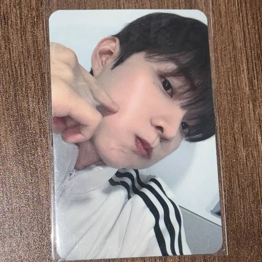 더보이즈 큐 지창민 아디다스 unexpected 비트로드 미공포 양도