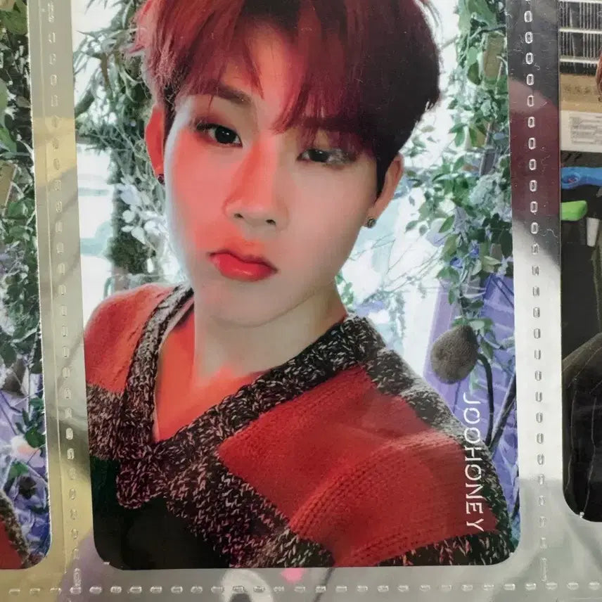 몬스타엑스 주헌 포카 we are here