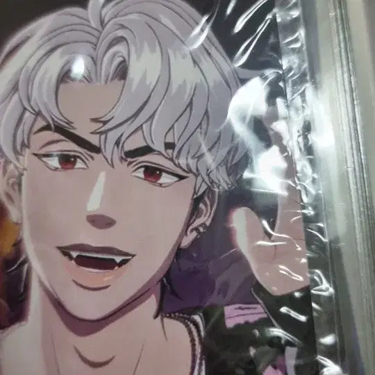 플레이브 왜요왜요왜 포카+바인더