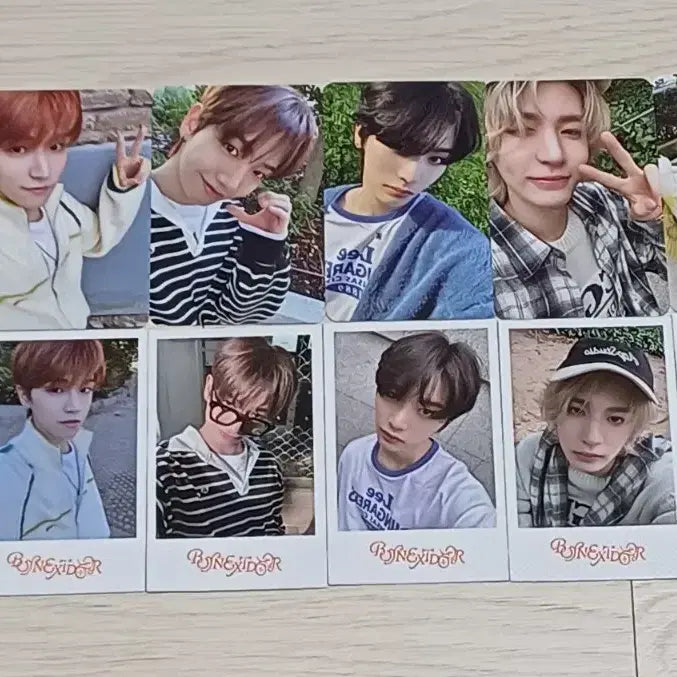 보넥도 콜렉트북 포카+폴라 일괄 양도