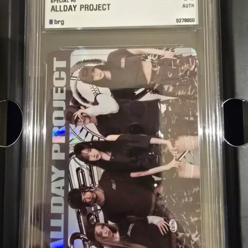 ALLDAY PROJECT 한정판 테레카 200한정 단체 포토카드