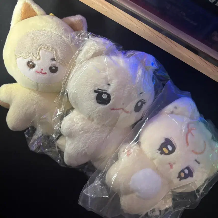 제로베이스원 리키 인형 일괄 양도