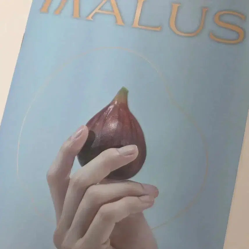 원어스 건희앨범