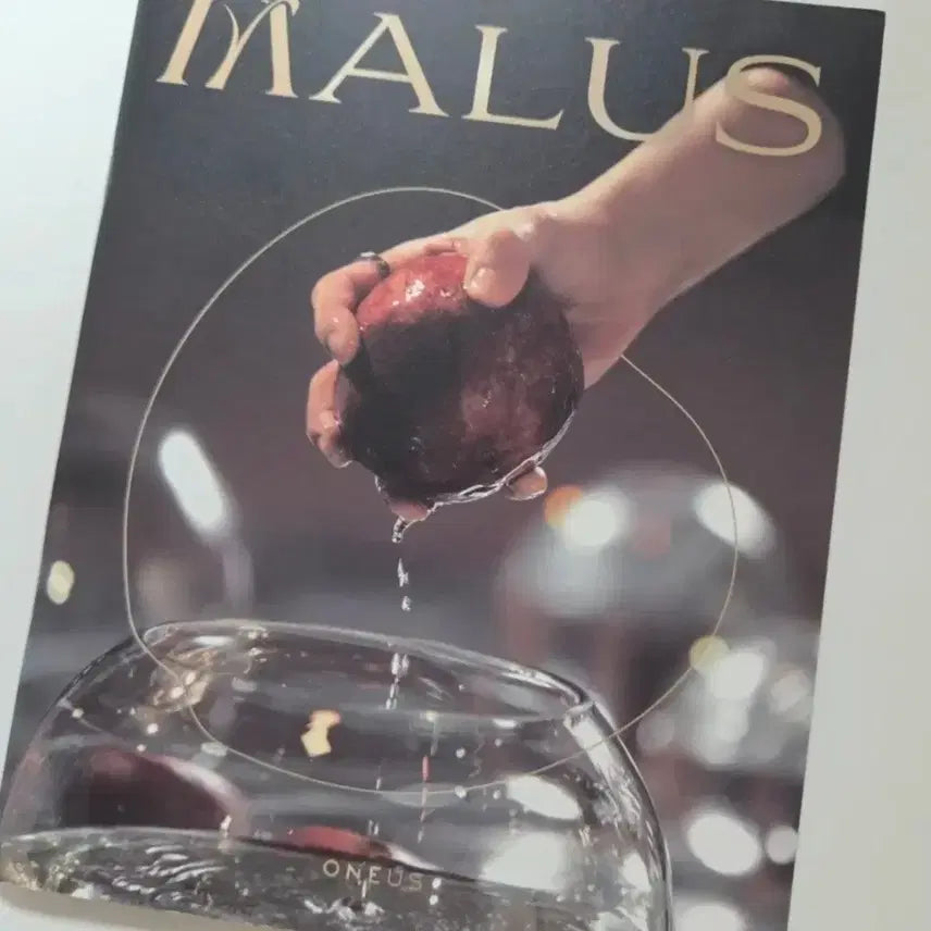 원어스 서호 앨범