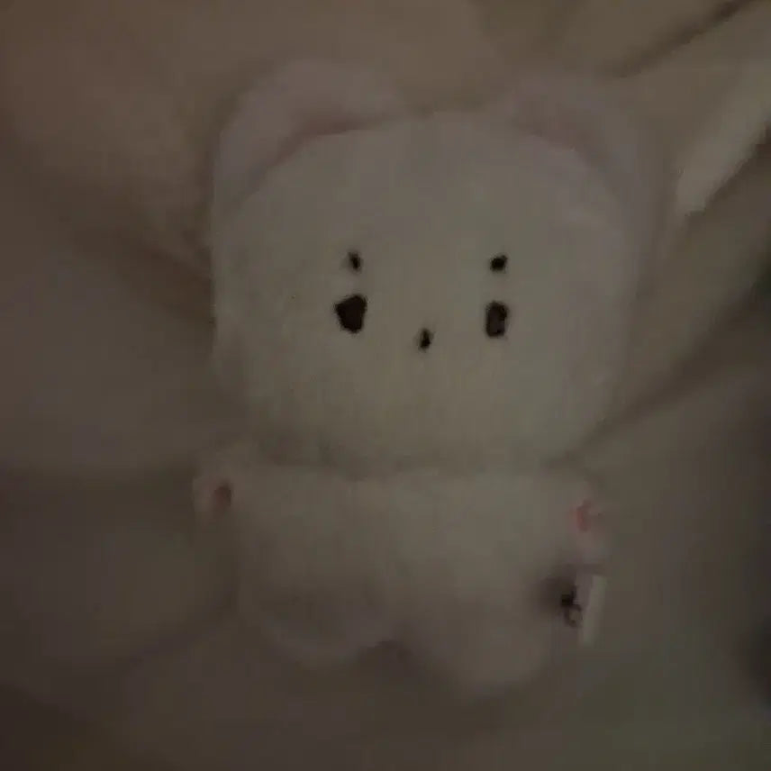 보넥도 이한 인형 팝니다.