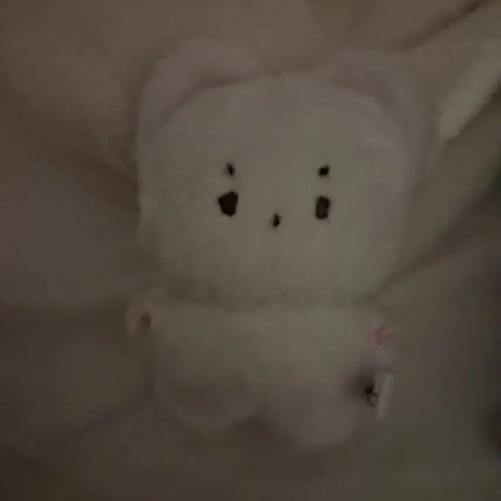 보넥도 이한 인형 팝니다.