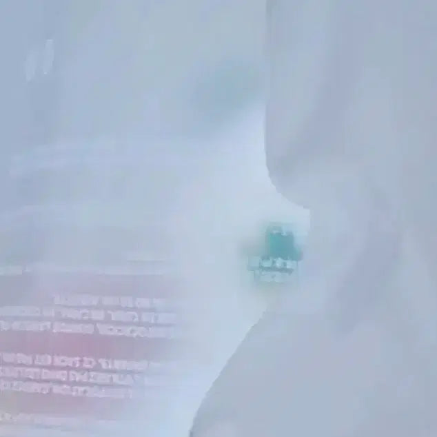 현물,빠른배송)투냥이할리데이투어스인형 tws