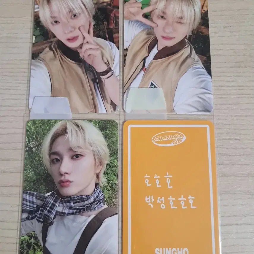 2026시그 성호 포카 판매