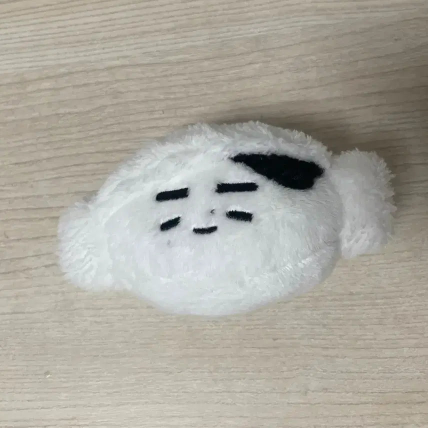 엔하이픈 성훈 후니기리